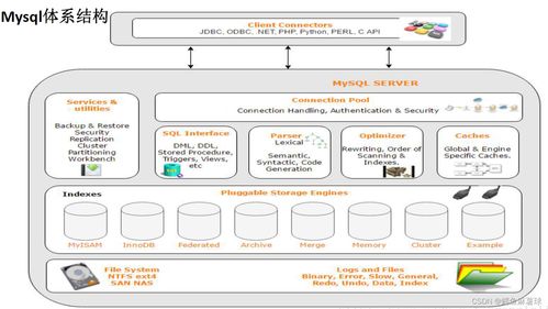 數(shù)據(jù)庫(kù)技術(shù)入門(mén) 基礎(chǔ)、MySQL架構(gòu)、SQL分類(lèi)、使用與存儲(chǔ)引擎全解析
